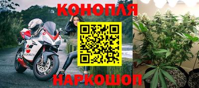 сатива Бугуруслан