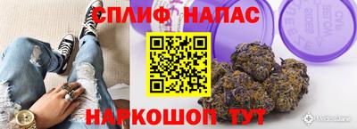 скорость Будённовск